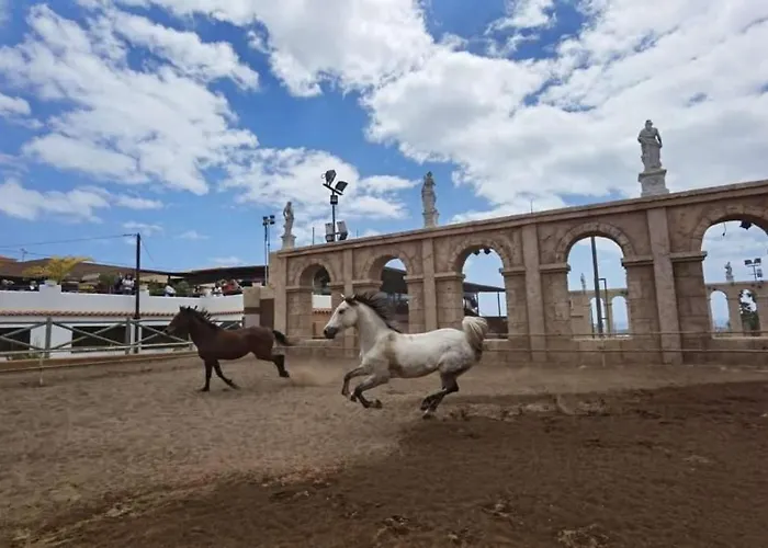 公寓 Lovely In Costa Adeje By Vapago Tenerife Playa Feñabe