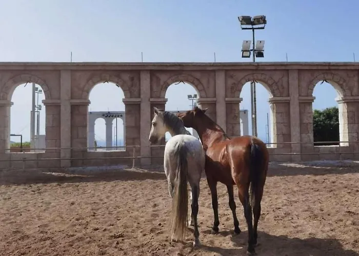 Lovely In Costa Adeje By Vapago Tenerife * Playa Feñabe